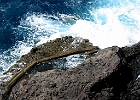 Baden im Puerto de Puntagorda. Auf steilen Wegen steigt man herab, um in den gemauerten Becken gefahrlos, bei moderater Brandung, zu baden. : Brandung, Felsen